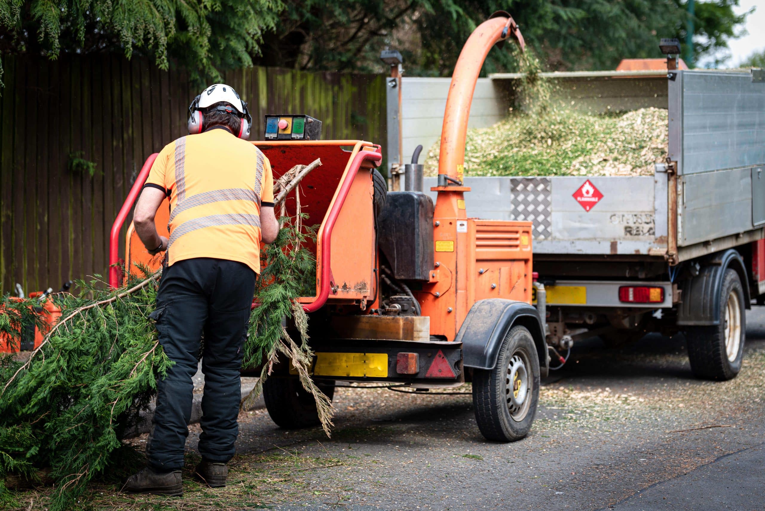 Tree Stump Grinding/Removal Bexleyheath DA7/DA6